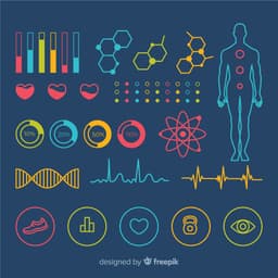 Biorhythm Calculator